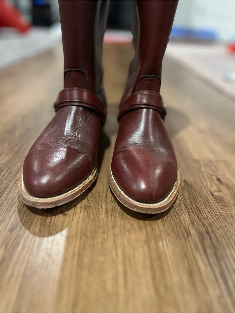 Frye Tall Leather Riding Boots in Burgundy 6.5